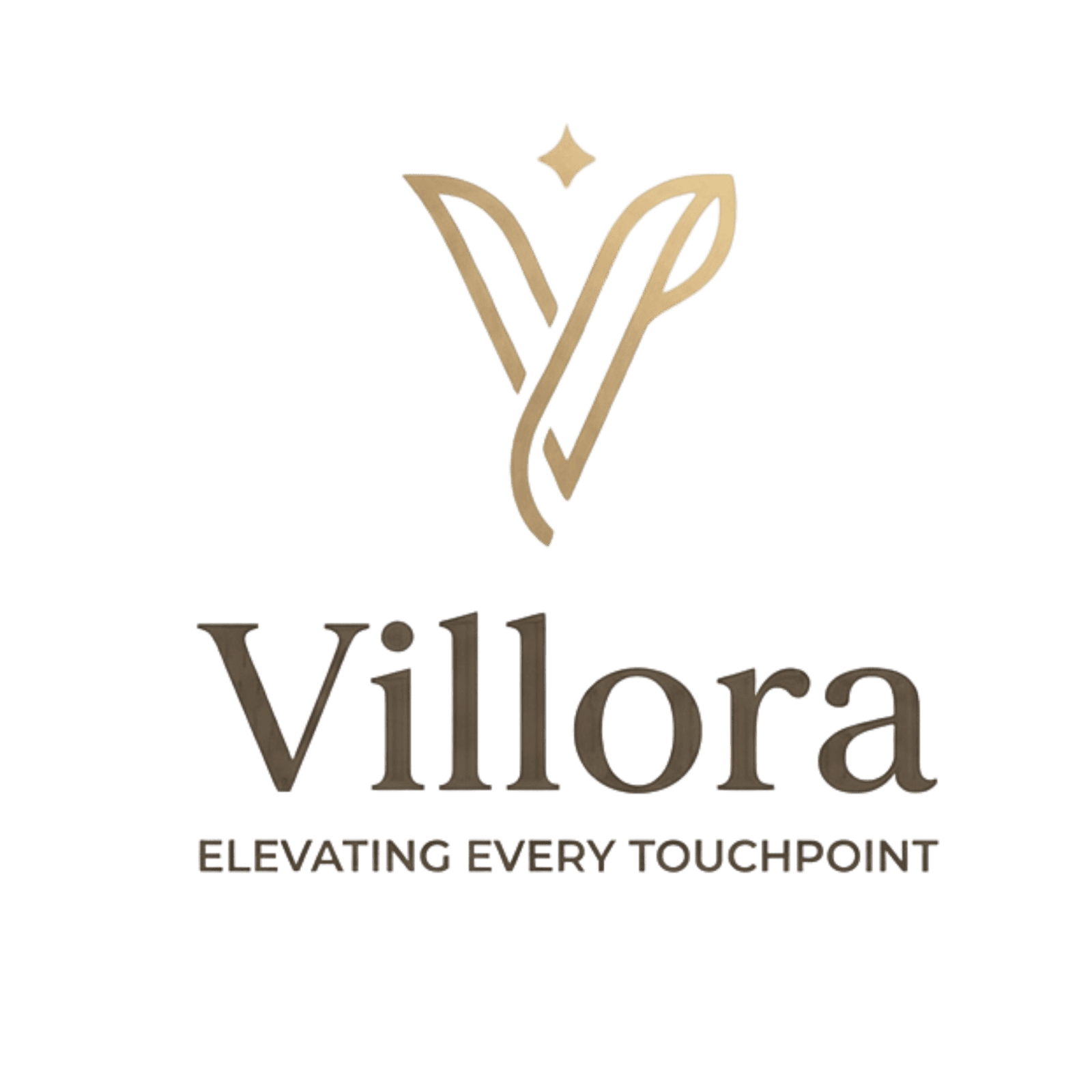 Villora Collective